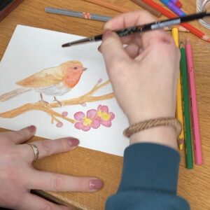 Workshop aquarelpotlood, zaterdag 9 mei